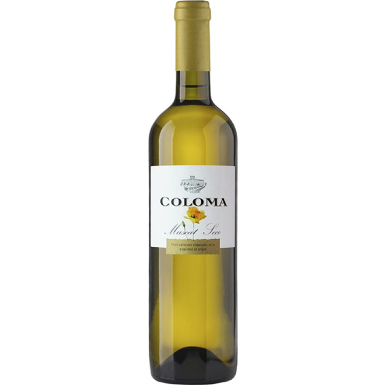 COLOMA Muscat Sec 0,75